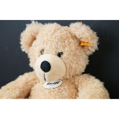 380 - Seven Steiff teddy bears to include 035418 Filzteddybar (ltd edn of 2000, white label to ear), 11147... 