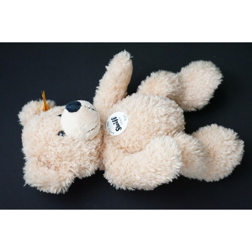 380 - Seven Steiff teddy bears to include 035418 Filzteddybar (ltd edn of 2000, white label to ear), 11147... 