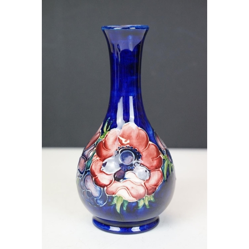 55 - Moorcroft Pottery 'Anemone' pattern vase of bulbous form, on cobalt blue ground, impressed marks to ... 