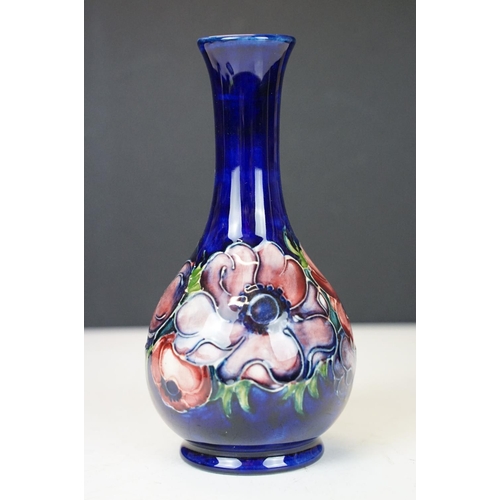 55 - Moorcroft Pottery 'Anemone' pattern vase of bulbous form, on cobalt blue ground, impressed marks to ... 