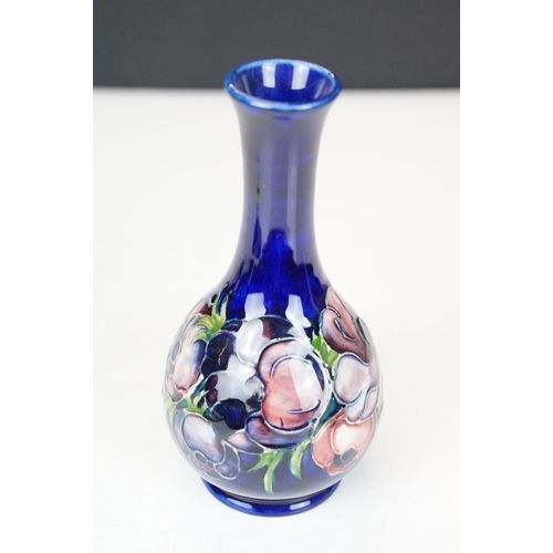 55 - Moorcroft Pottery 'Anemone' pattern vase of bulbous form, on cobalt blue ground, impressed marks to ... 