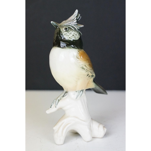 59 - Four Karl Ens porcelain bird figurines to include 7521 Kingfishers figure group, 7518 Nuthatch, 7588... 