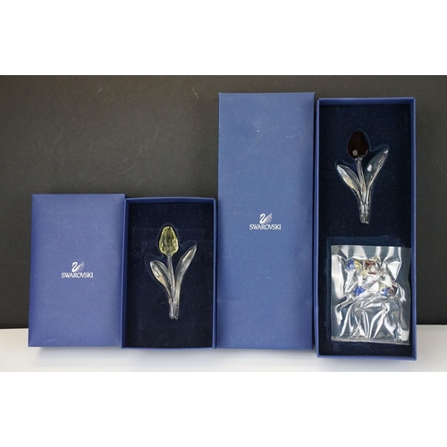 64 - Two Boxed SCS Swarovski Crystal Society membership gifts to include red tulip (with miniature tulips... 