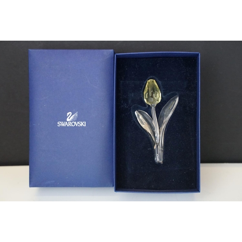 64 - Two Boxed SCS Swarovski Crystal Society membership gifts to include red tulip (with miniature tulips... 