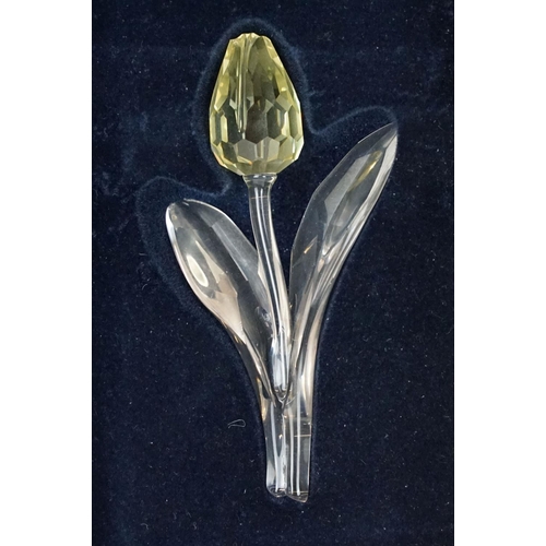 64 - Two Boxed SCS Swarovski Crystal Society membership gifts to include red tulip (with miniature tulips... 