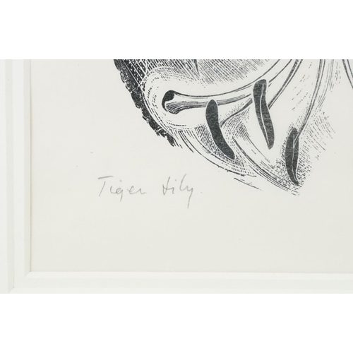 442 - Margaret Bruce Wells (1908 - 1998), Tiger Lily, wood-engraving, signed lower right and dated 1946, n... 