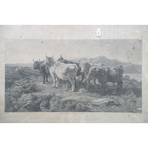 456 - Collection of nine assorted antique prints. To include 'Morning in the highlands cattle engraving', ... 