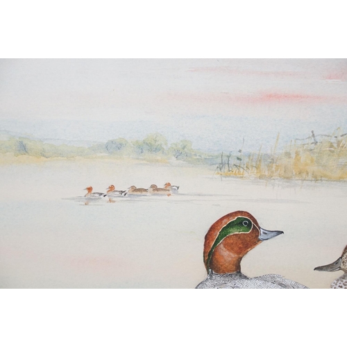 464 - Large watercolour of teal in a natural setting, signed Ian Bowles