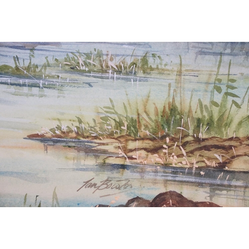 464 - Large watercolour of teal in a natural setting, signed Ian Bowles