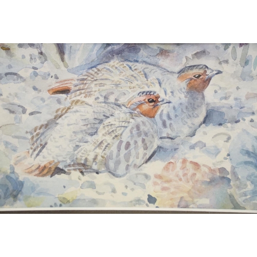 481 - Peter Partington SWLA (b.1941) - watercolour painting of a pair of partridges in foliage together wi... 