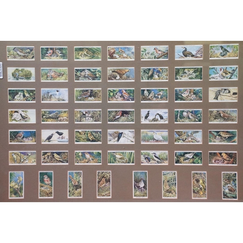 504 - Taddy & Co Myrtle Grove, a series of 25 Railway Locomotives cigarette cards, framed and glazed in a ... 