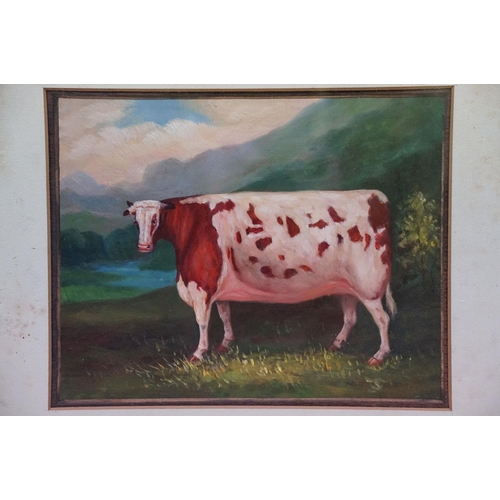 505 - A framed oil painting bovine study of a Craven Heifer cow in a country landscape, 19.5 x 24.5cm, fra... 