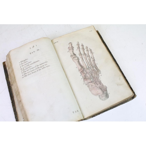 398 - William Cheselden ' Anatomy of the Human Body' - 18th Century anatomy book featuring hand coloured d... 