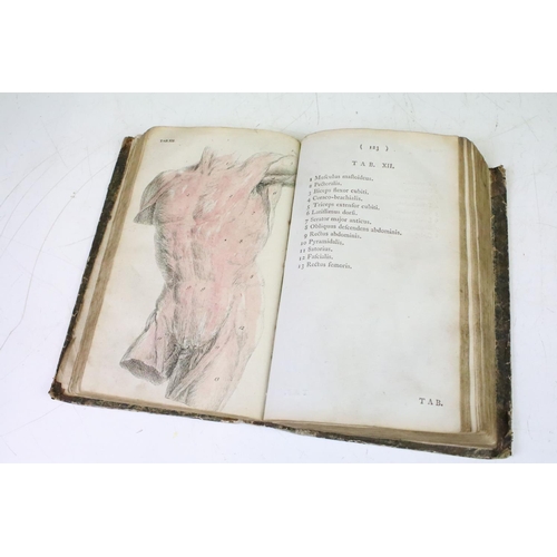 398 - William Cheselden ' Anatomy of the Human Body' - 18th Century anatomy book featuring hand coloured d... 