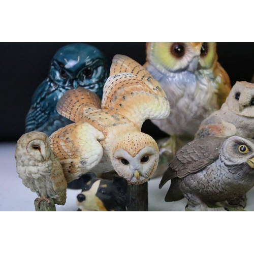 95 - Collection of animal figurines to include eleven Border fine arts resin figurines, Country character... 