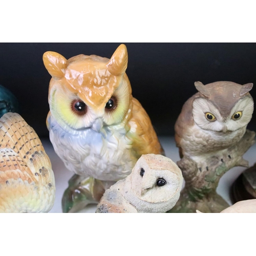 95 - Collection of animal figurines to include eleven Border fine arts resin figurines, Country character... 