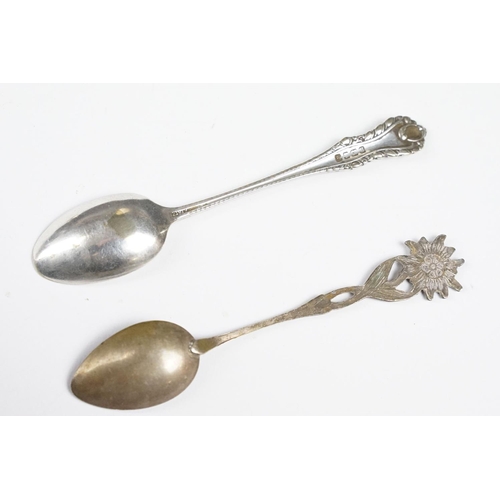 306 - Eight Collectors Spoons including Silver