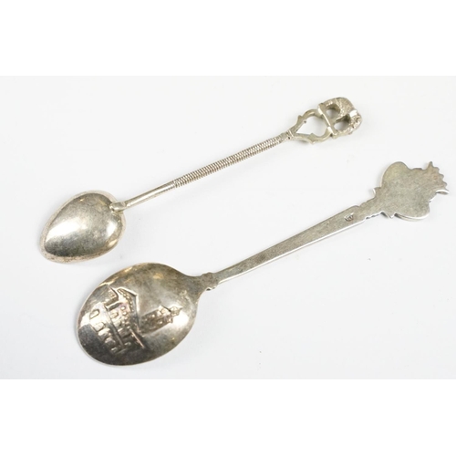 306 - Eight Collectors Spoons including Silver