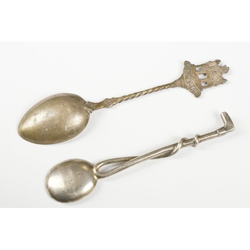 306 - Eight Collectors Spoons including Silver