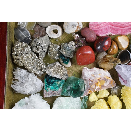 136 - Collection of minerals / crystals featuring Rhodochrocite, Pyrite, geodes, etc, housed within a beve... 