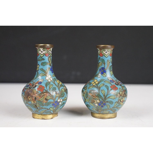 144 - 18th / 19th Century Chinese Cloisonne blue ground bottle vase decorated with butterflies and a flora... 