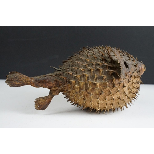 154 - A taxidermy Puffer Fish, measures approx 29cm long