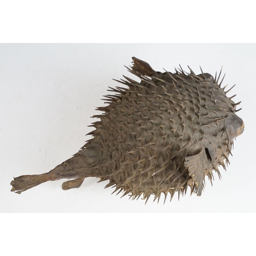 154 - A taxidermy Puffer Fish, measures approx 29cm long