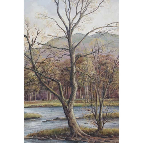 570 - S G Anderson (20th century) Oil on Canvas titled ' Trees on the edge of Lake Rydal Cumbria ', 40cm x... 