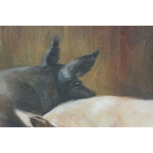 579 - Oak Framed Oil Painting Study of Pigs in a farmyard, 28cm x 34cm