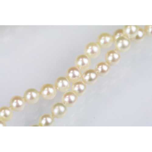 39 - Two strand cultured pearl necklace having graduating pearls with a pink overtone mounted to a knotte... 