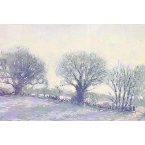 449 - Emma MacFadyen, landscape scene, pastel, 35 x 66.5cm, framed and glazed