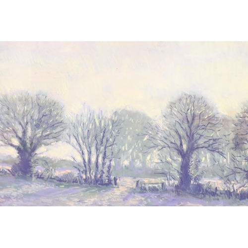 449 - Emma MacFadyen, landscape scene, pastel, 35 x 66.5cm, framed and glazed