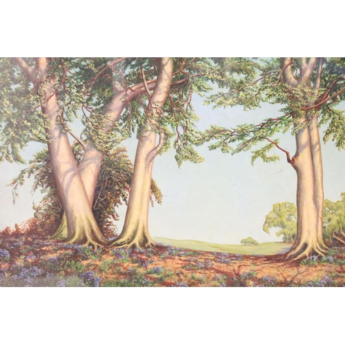 460 - English School, Beeches and Breeses, oil on board, titled verso, indistinctly signed, dated 1953, in... 