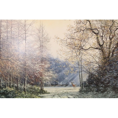 465 - Neil Spilman (British b.1951), Silver Winter, limited edition colour print, signed in pencil lower l... 