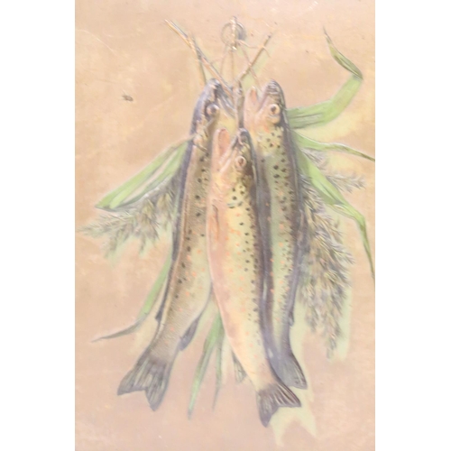 489 - 19th century, a pair of gilt framed embossed print studies of hanging freshwater fish, each 39 x 29c... 