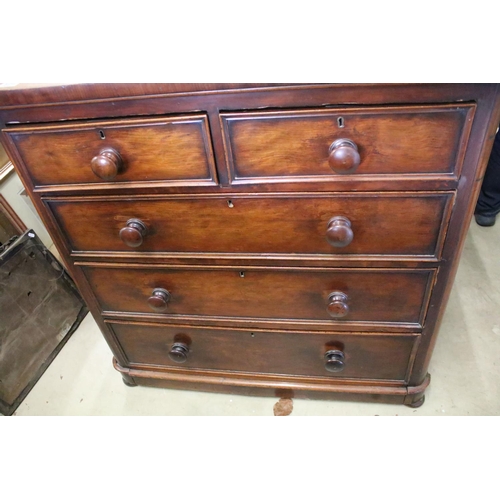 524 - Victorian mahogany chest of two short and three long drawers on bun feet, 104.5 high x 49.5 wide x 1... 