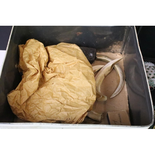 292 - A box of mixed collectables to include a vintage postcard album, wild boar tusks, fossils and rocks,... 