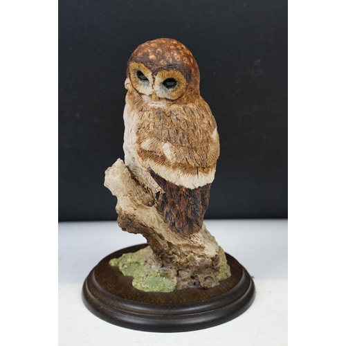 107 - Collection of resin owls most by Country Artists to include silent hunter CA823, Owls 02352, all mou... 