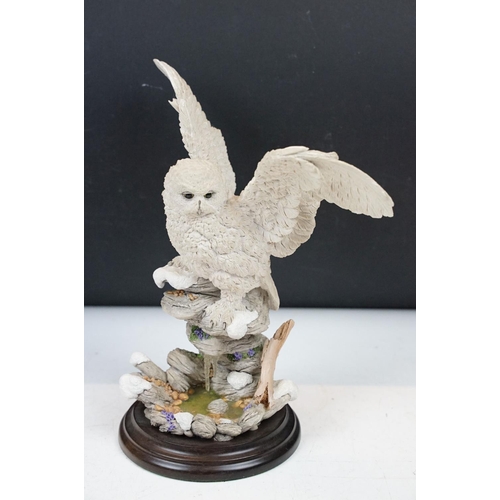 107 - Collection of resin owls most by Country Artists to include silent hunter CA823, Owls 02352, all mou... 