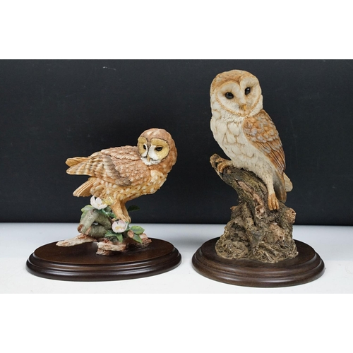 107 - Collection of resin owls most by Country Artists to include silent hunter CA823, Owls 02352, all mou... 