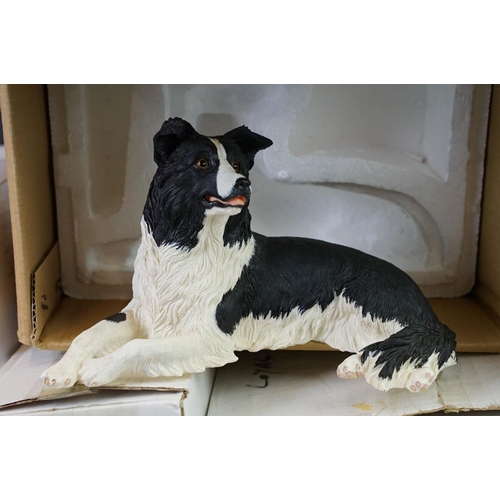101 - Six Danbury Mint Border Collie figurines in original boxes with certificates of authenticity. The lo... 