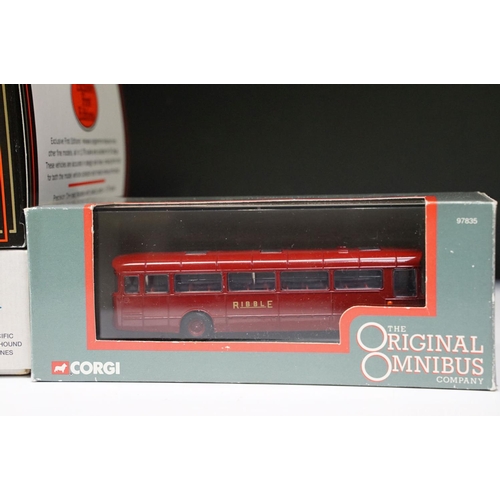 1141 - Collection of 19 boxed / cased diecast model buses to include 6 x EFE Exclusive First Editions, 5 x ... 