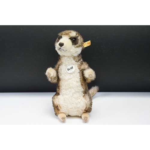 339 - Steiff Mungo The Meerkat 071249 with tag to ear and label to chest, vg