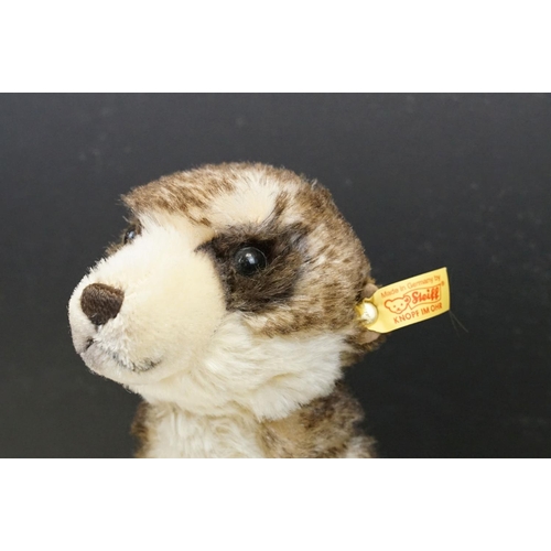 339 - Steiff Mungo The Meerkat 071249 with tag to ear and label to chest, vg