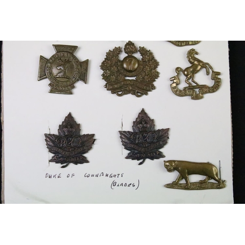 36 - A collection of Canadian military collar badges to include World War Two King Crown issues, brass, b... 