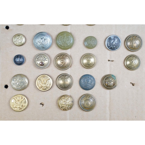 81 - A collection of military buttons to include British and European examples.