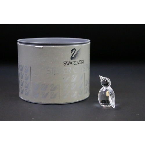 39 - Six boxed Swarovski Silver Crystal animals to include 12261 Sea Lion, 221120 Baby Sea Lion, 191448 S... 