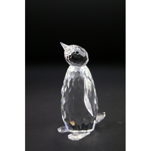 39 - Six boxed Swarovski Silver Crystal animals to include 12261 Sea Lion, 221120 Baby Sea Lion, 191448 S... 