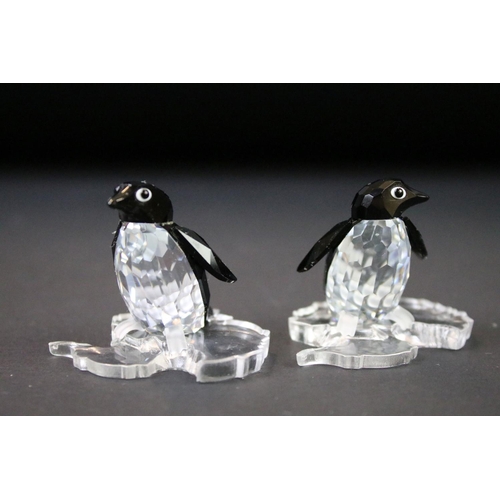 39 - Six boxed Swarovski Silver Crystal animals to include 12261 Sea Lion, 221120 Baby Sea Lion, 191448 S... 