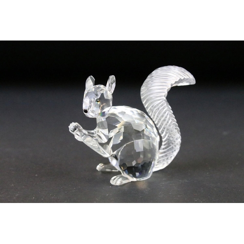 48 - Eight boxed Swarovski Crystal animals / animal sets to include 10th Anniversary Edition - The Squirr... 